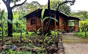 Wood Cabin - Cabana Maderas